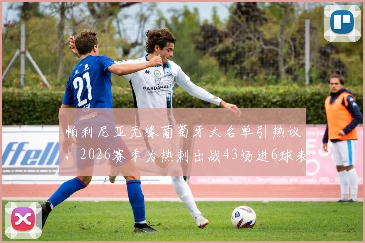 帕利尼亚无缘葡萄牙大名单引热议，2026赛季为热刺出战43场进6球表现是否达标？