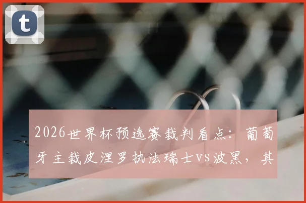 2026世界杯预选赛裁判看点：葡萄牙主裁皮涅罗执法瑞士vs波黑，其风格与判罚历史详解