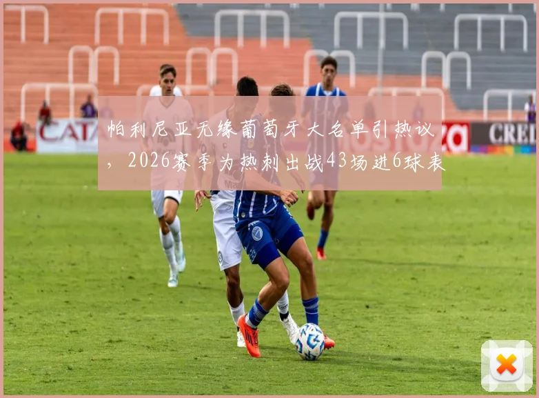 帕利尼亚无缘葡萄牙大名单引热议，2026赛季为热刺出战43场进6球表现是否达标？